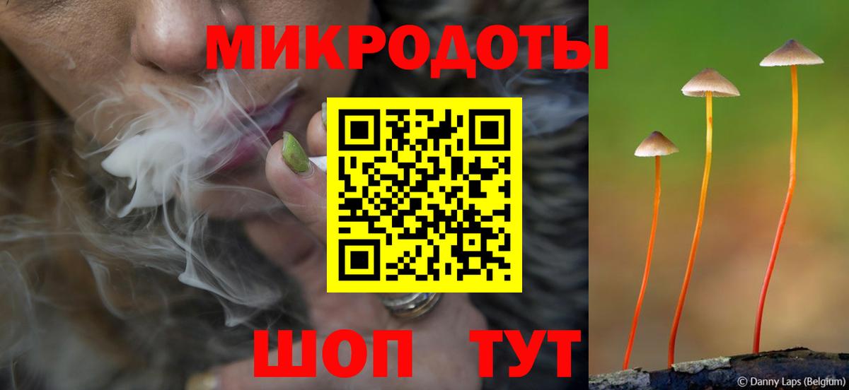 Набережные Челны  Псилоцибиновые грибы Psilocybe  Вход с VPN 